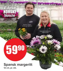 MaxiMat Svinesund Spansk margeritt tilbud