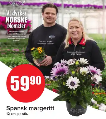 MaxiMat Svinesund Spansk margeritt tilbud