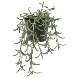 IKEA Fejka Kunstig potteplante, inne/ute/bananstreng hengende, 9 cm tilbud