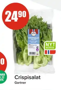 Spar GARTNER Crispisalat tilbud