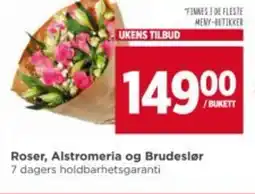 Meny Roser, alstromeria og brudeslør tilbud