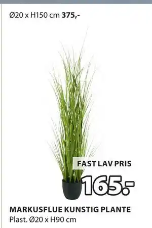 JYSK MARKUSFLUE KUNSTIG PLANTE tilbud