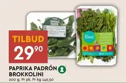Coop Mega PAPRIKA PADRÓN BROKKOLINI tilbud