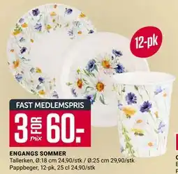 Europris ENGANGS SOMMER tilbud