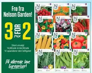 Europris Frø fra Nelson Garden! tilbud