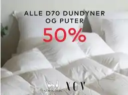 Skeidar ALLE D70 DUNDYNER OG PUTER tilbud