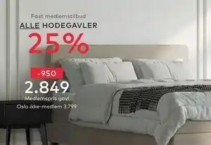 Skeidar Oslo tilbud