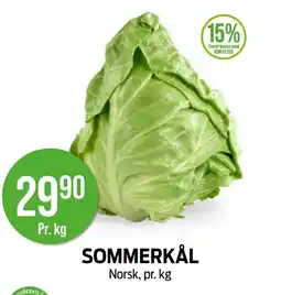 Kiwi Sommerkål tilbud