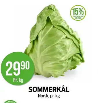 Kiwi Sommerkål tilbud