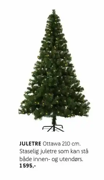 ELON Juletre tilbud