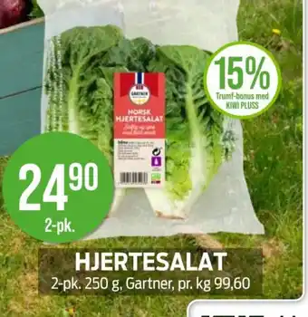 Kiwi GARTNER Hjertesalat tilbud