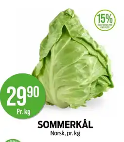 Kiwi Sommerkål tilbud