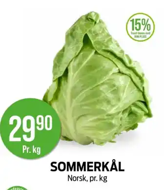 Kiwi Sommerkål tilbud