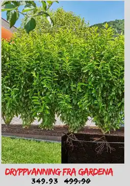 Plantasjen Dryppvanning fra Gardena tilbud