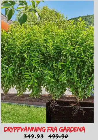 Plantasjen Dryppvanning fra Gardena tilbud
