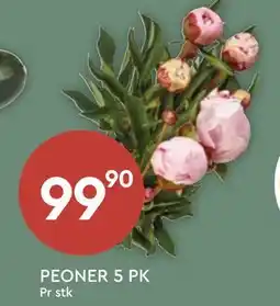 Coop Mega PEONER 5 PK tilbud