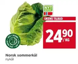 Meny Norsk sommerkål tilbud