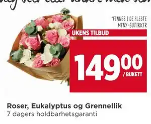 Meny Roser, Eukalyptus og Grennellik tilbud