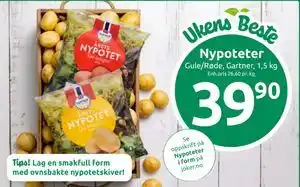 Joker Nypoteter tilbud