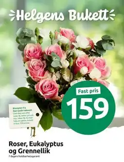 Joker Roser, Eukalyptus og Grennellik tilbud