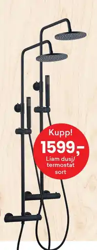 Right Price Tiles Liam dusj/ termostat sort tilbud