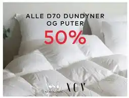 Skeidar ALLE D70 DUNDYNER OG PUTER tilbud