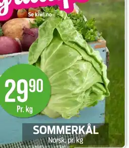 Kiwi SOMMERKÅL Norsk, pr. kg tilbud