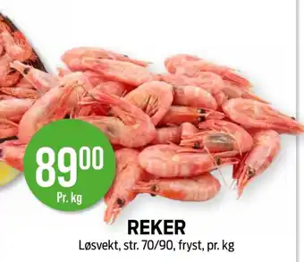 Kiwi REKER tilbud
