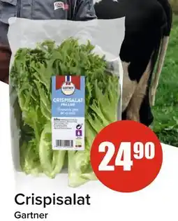 Spar Crispisalat tilbud