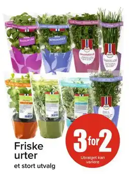 Spar Friske urter tilbud