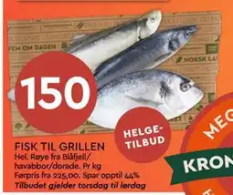 Coop Mega FISK TIL GRILLEN tilbud