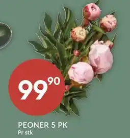Coop Mega PEONER 5 PK tilbud