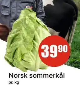 Spar Norsk sommerkål tilbud