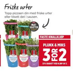 Meny Friske urter tilbud