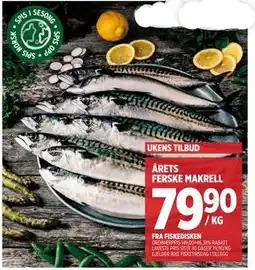Meny ÅRETS FERSKE MAKRELL tilbud