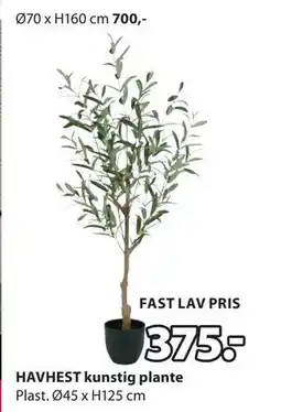 JYSK HAVHEST kunstig plante tilbud