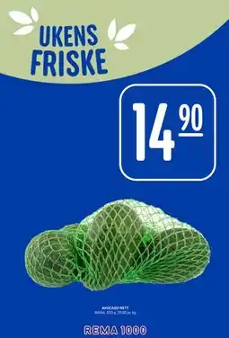 Rema 1000 AVOCADO NETT tilbud