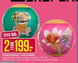 Europris BLOMSTERBUKETT MAX GARDEN tilbud