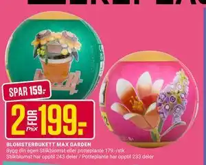 Europris BLOMSTERBUKETT MAX GARDEN tilbud