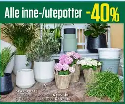 Europris Alle inne-/utepotter tilbud