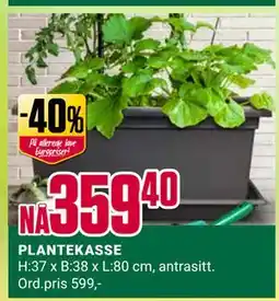 Europris PLANTEKASSE tilbud