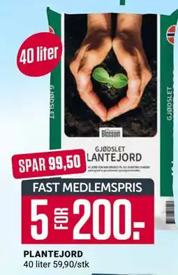 Europris PLANTEJORD tilbud