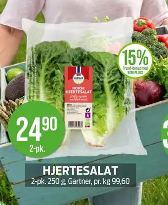 Kiwi GARTNER Hjertesalat tilbud