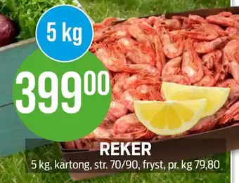 Kiwi REKER tilbud