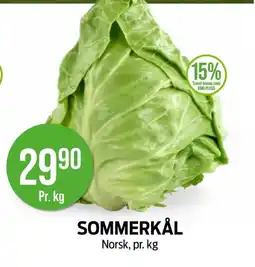 Kiwi Sommerkål tilbud