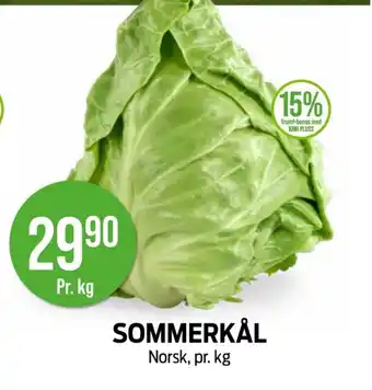 Kiwi Sommerkål tilbud