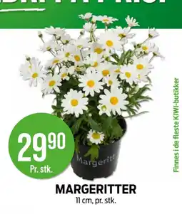 Kiwi Margeritter tilbud