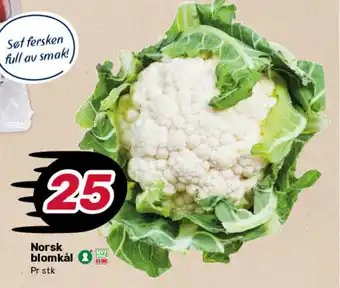 Matkroken Norsk blomkål tilbud