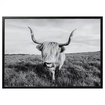 IKEA BjÖrksta Bilde med ramme, nysgjerrig ku/svart, 140x100 cm tilbud