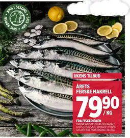 Meny Årets ferske makrell tilbud
